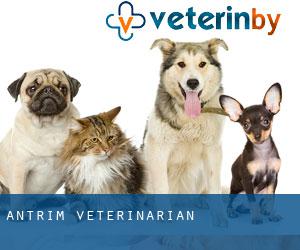 Antrim veterinarian