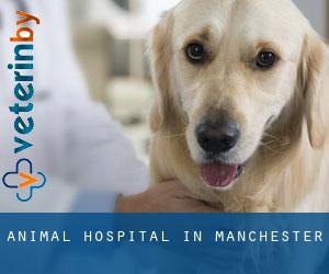 Animal Hospital in Manchester