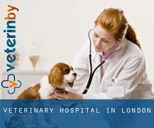 Veterinary Hospital in London