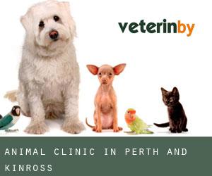 Animal Clinic in Perth and Kinross