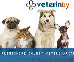 Flintshire County veterinarian