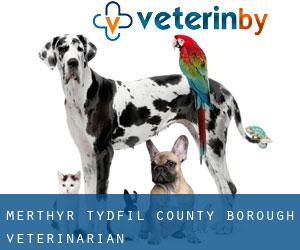 Merthyr Tydfil (County Borough) veterinarian