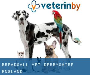 Breadsall vet (Derbyshire, England)