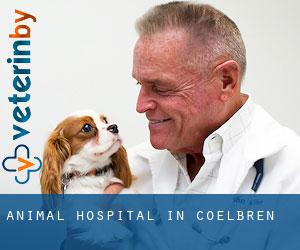 Animal Hospital in Coelbren