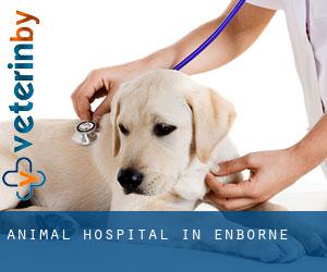 Animal Hospital in Enborne