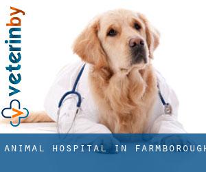 Animal Hospital in Farmborough
