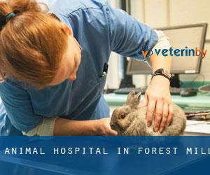Animal Hospital in Forest Mill