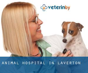 Animal Hospital in Laverton