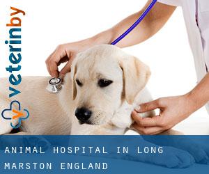 Animal Hospital in Long Marston (England)