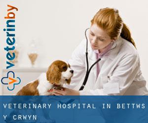 Veterinary Hospital in Bettws y Crwyn