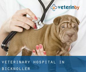 Veterinary Hospital in Bicknoller