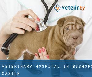 Veterinary Hospital in Bishop's Castle