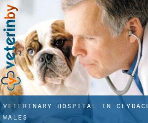 Veterinary Hospital in Clydach (Wales)