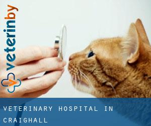 Veterinary Hospital in Craighall