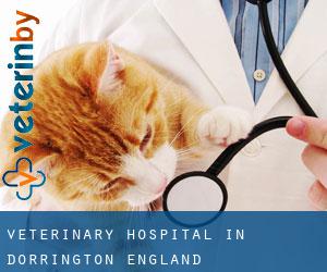 Veterinary Hospital in Dorrington (England)