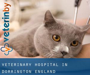 Veterinary Hospital in Dorrington (England)