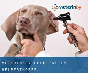 Veterinary Hospital in Helperthorpe