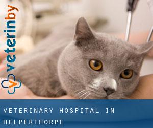 Veterinary Hospital in Helperthorpe