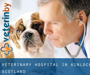 Veterinary Hospital in Kinloch (Scotland)