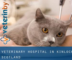 Veterinary Hospital in Kinloch (Scotland)