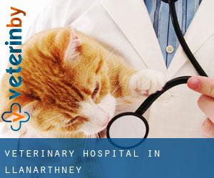 Veterinary Hospital in Llanarthney