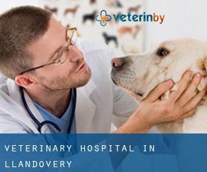 Veterinary Hospital in Llandovery