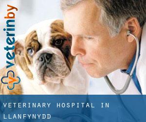 Veterinary Hospital in Llanfynydd