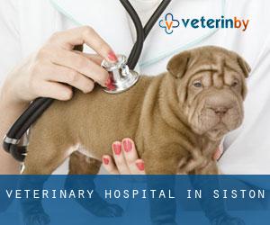 Veterinary Hospital in Siston