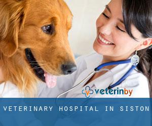 Veterinary Hospital in Siston