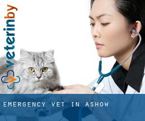 Emergency Vet in Ashow