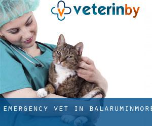 Emergency Vet in Balaruminmore