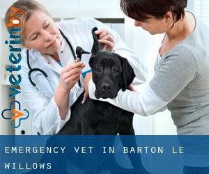 Emergency Vet in Barton le Willows