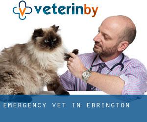 Emergency Vet in Ebrington