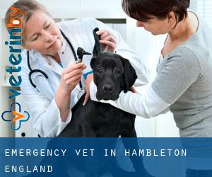 Emergency Vet in Hambleton (England)