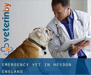 Emergency Vet in Heydon (England)