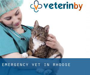 Emergency Vet in Rhoose