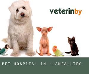 Pet Hospital in Llanfallteg