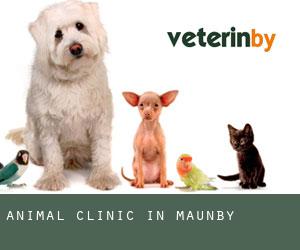 Animal Clinic in Maunby
