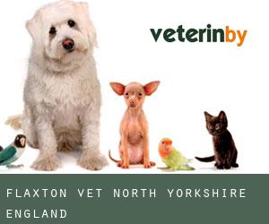 Flaxton vet (North Yorkshire, England)