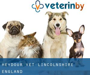 Heydour vet (Lincolnshire, England)