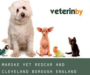 Marske vet (Redcar and Cleveland (Borough), England)