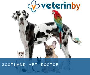 Scotland vet doctor