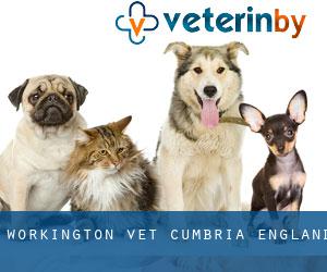 Workington vet (Cumbria, England)